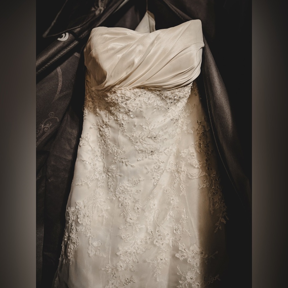 Casablanca wedding dress